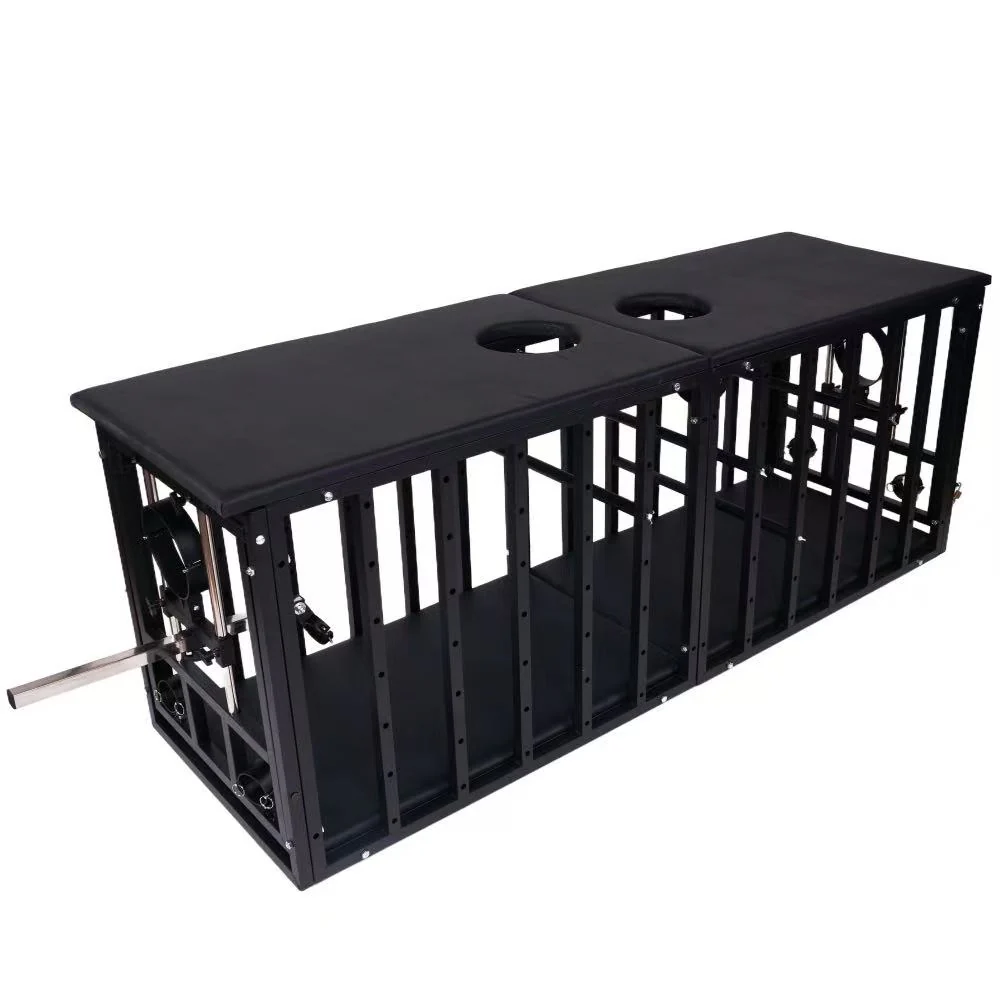 BDSM Cages